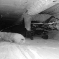 rehabilitacio.de.patis.de.llums